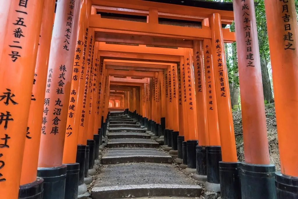 Torii gates, Kyoto