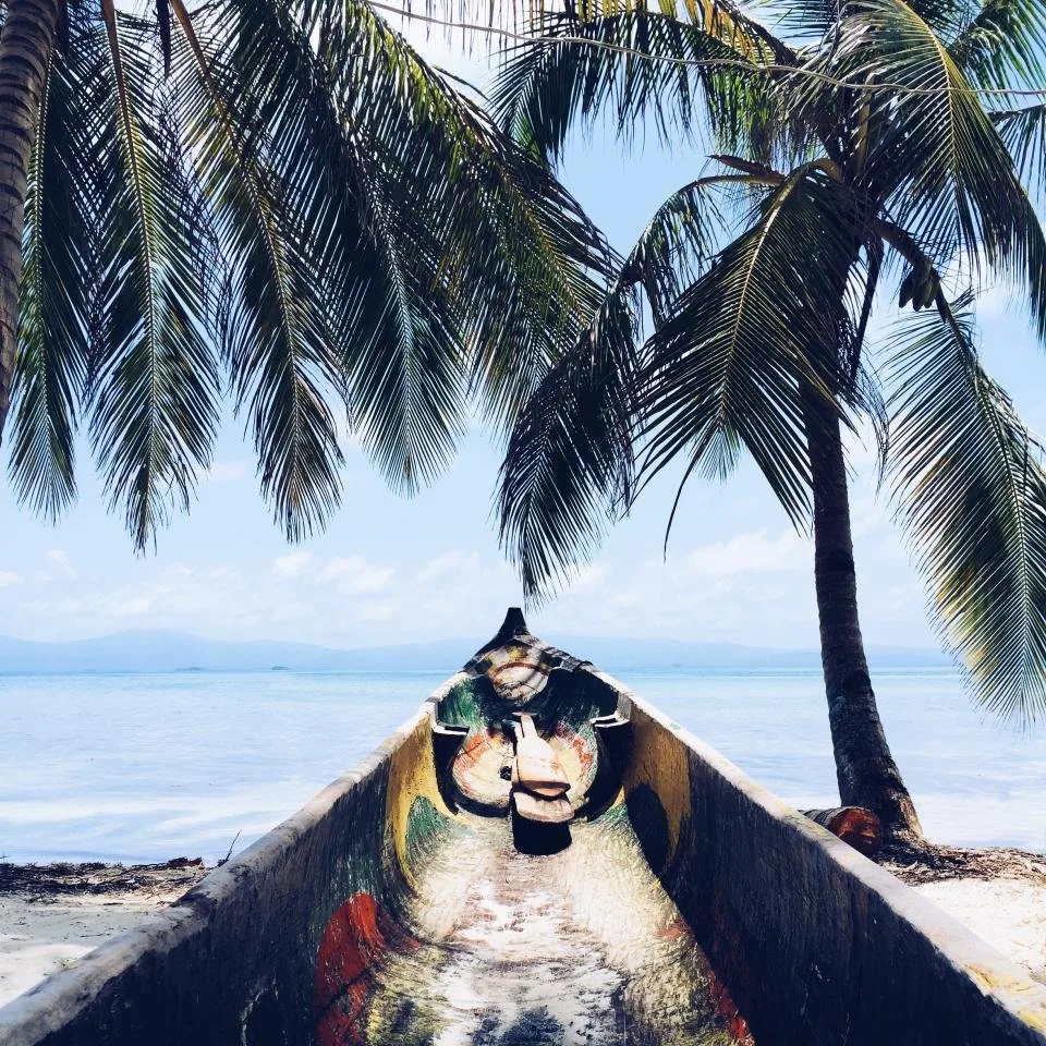 Palm shoreline, the tropics